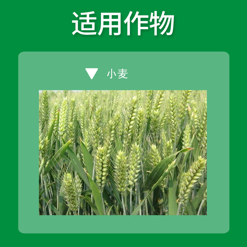 黄龙粉唑醇25水稻豆类蔬菜锈病花卉多肉叶斑病三唑类内吸杀菌剂10g