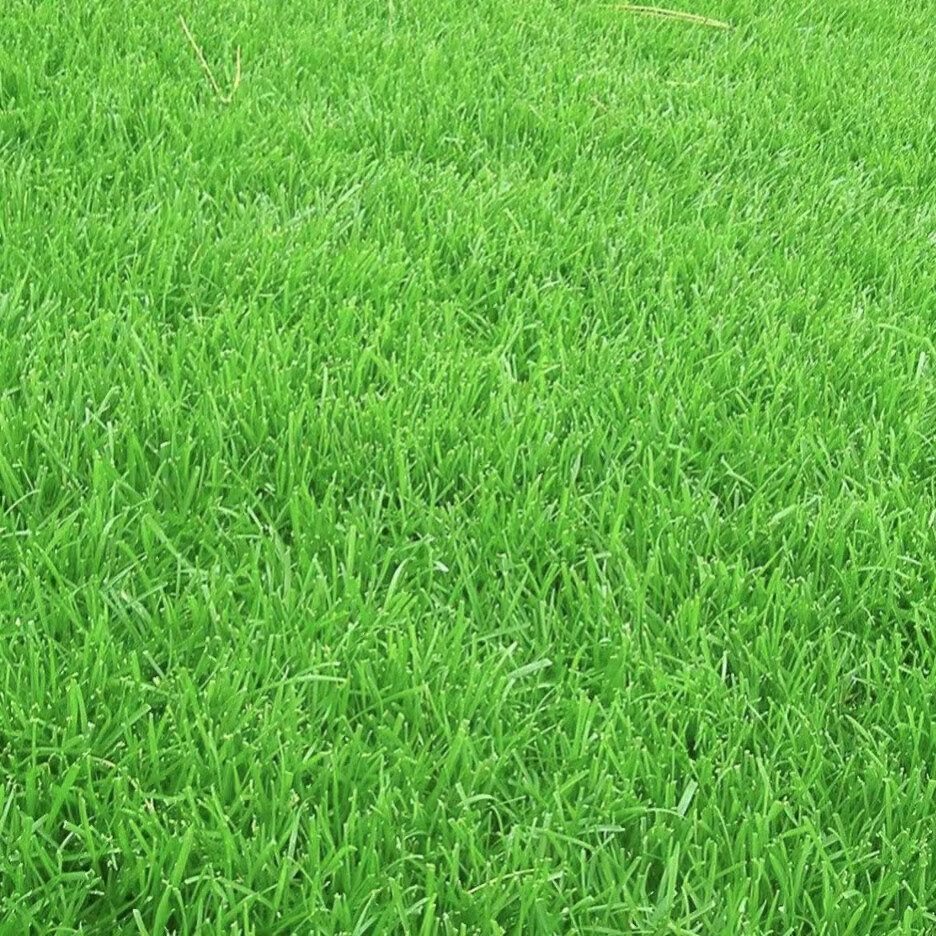 草绿色油漆人造仿真草坪草地美化涂料喷漆环保无味防水防晒不褪色的 