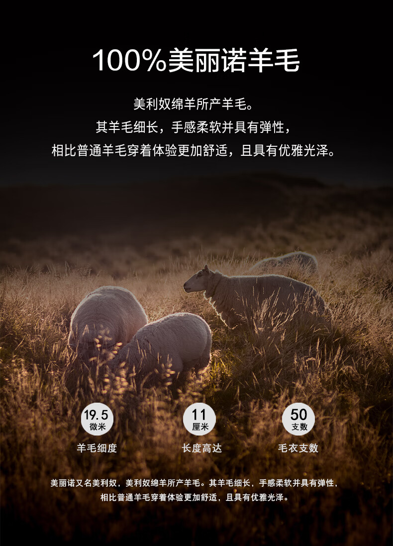 19fa616559f64946.jpg