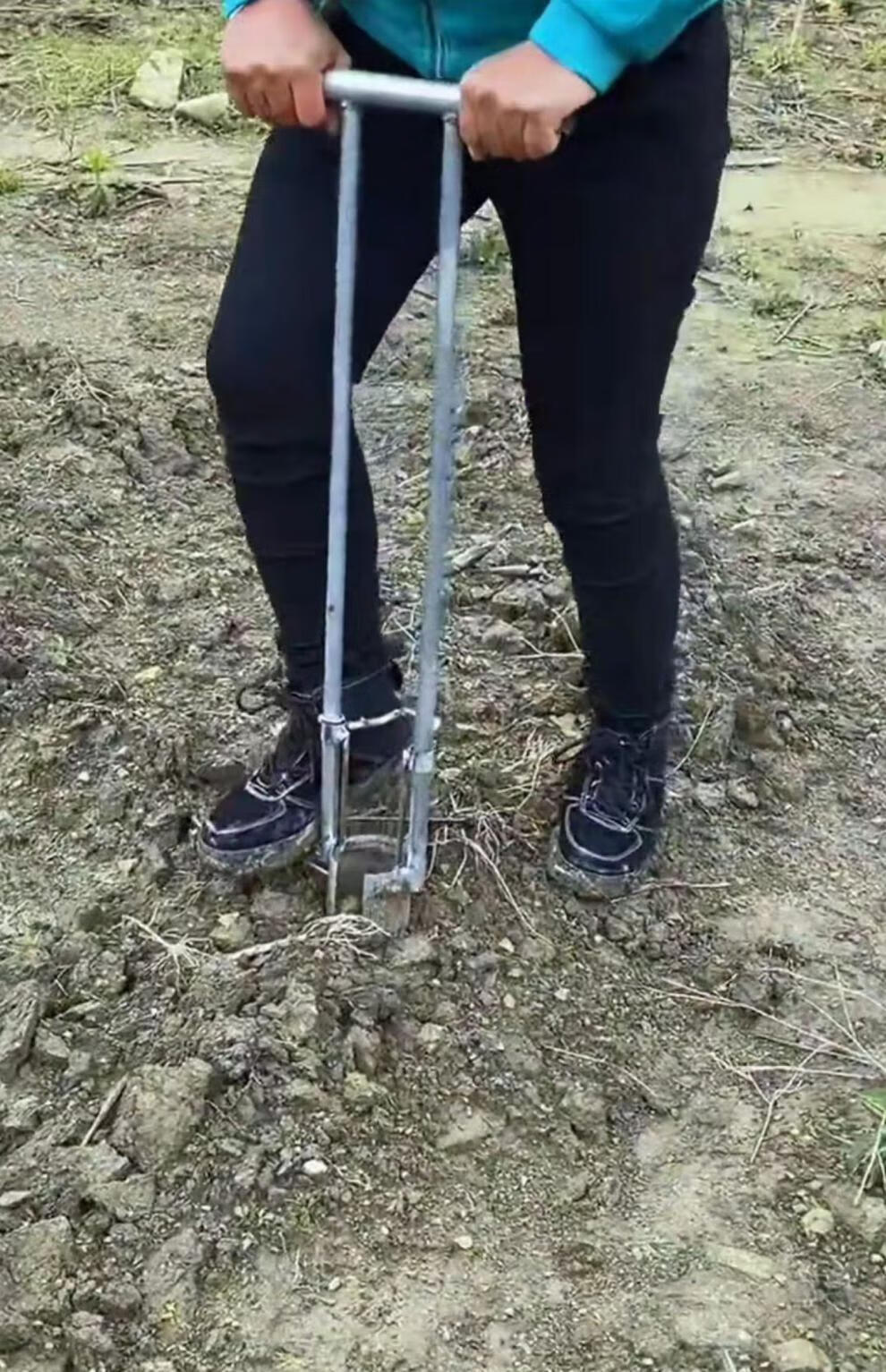 栽苗神器西瓜辣椒不锈钢移苗器玉米地膜打孔器农用打洞锯齿移栽器12