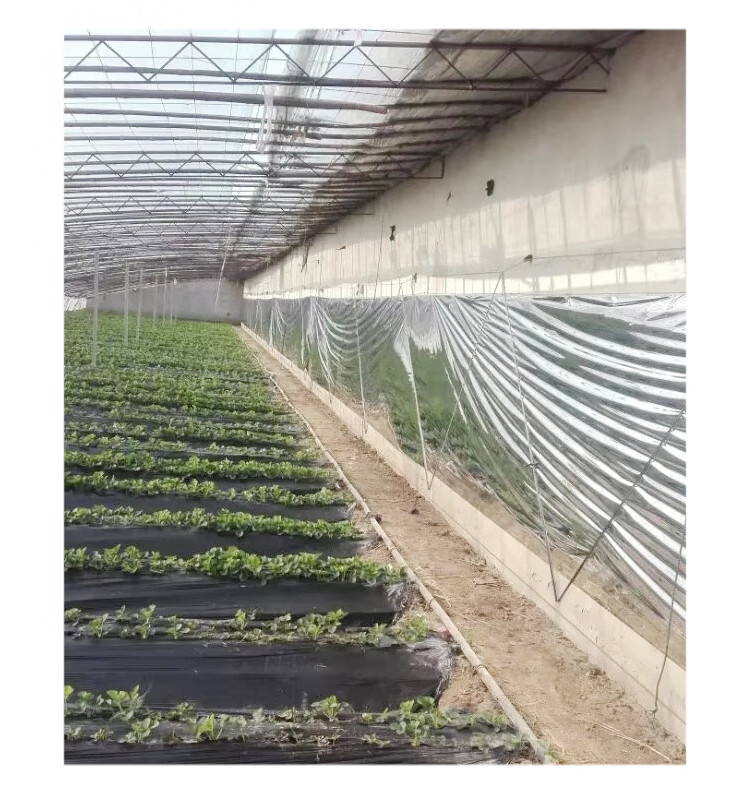 大棚反光膜温室农用增温升温暖棚后墙挂的反光幕布纸地膜果树果园 1米