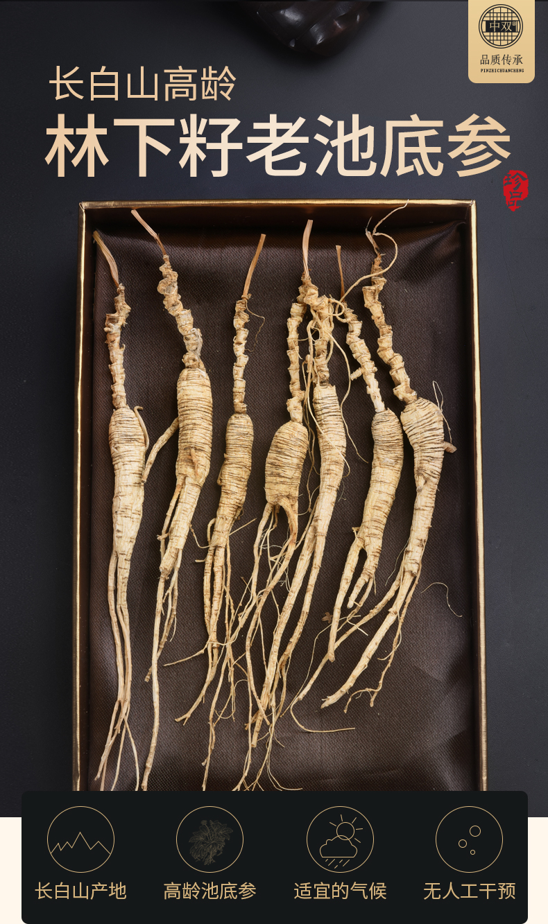长白山林下参东北老山参生晒人参整枝残参 30年高龄林下老池底参50g