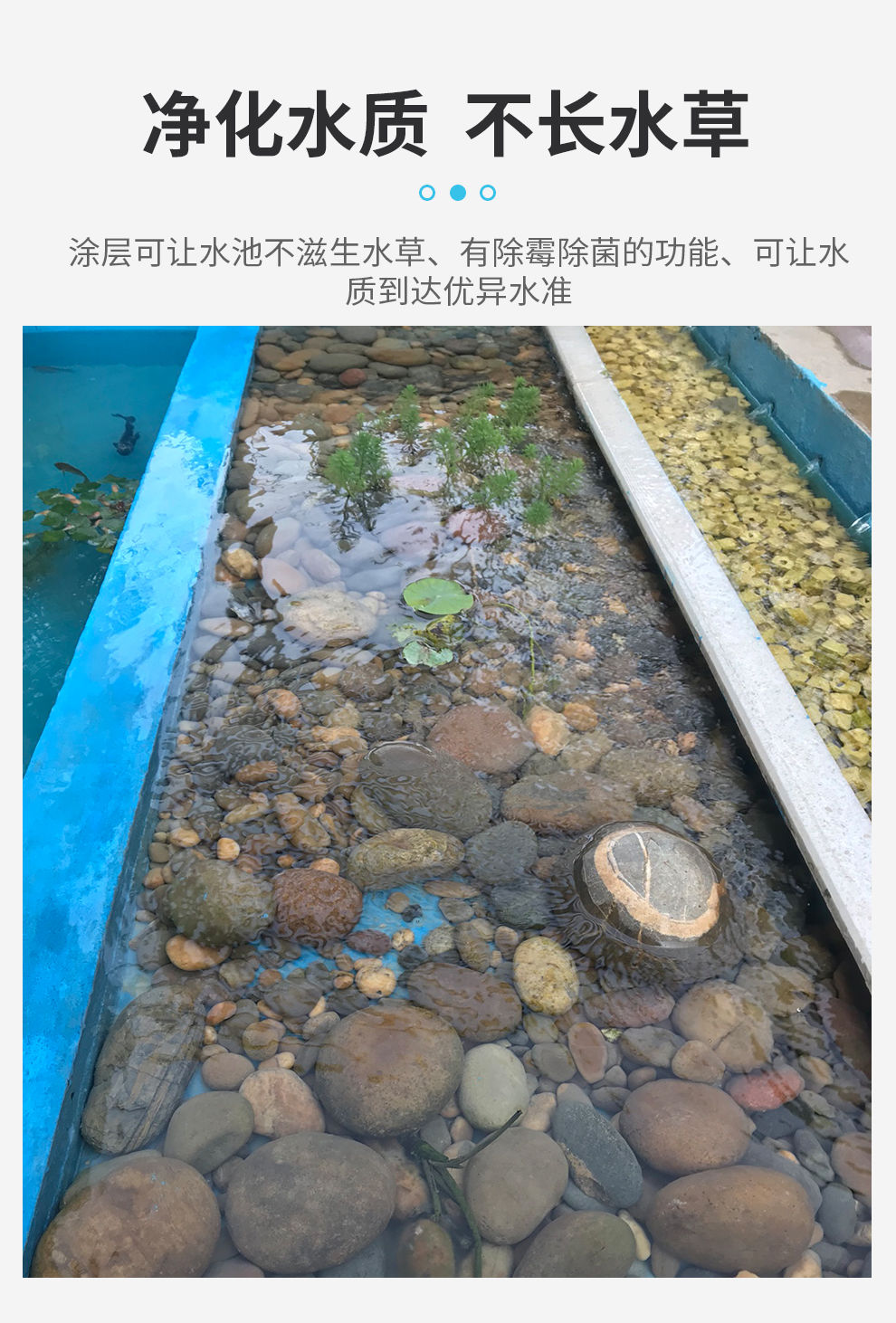 放水涂料鱼池水池k11防水卫生间厨卫养殖鱼塘饮用池专用补漏材料胶漆