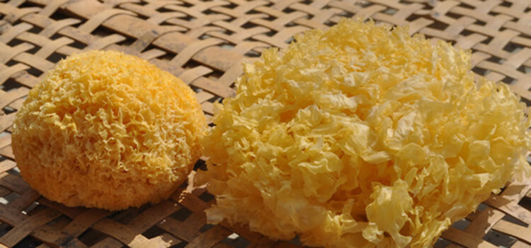 古田丑耳糯耳500g密花糯银耳干货散装白木耳出胶多福建雪耳