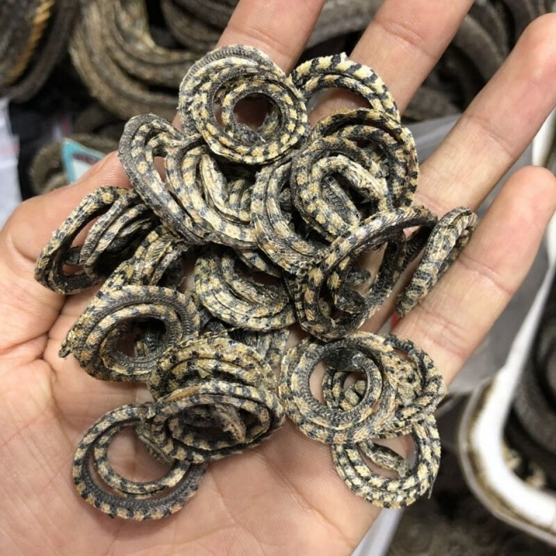 白小花蛇小白花蛇小花蛇一件小白花蛇泡酒料1条