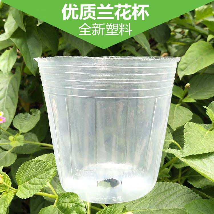 蝴蝶兰营养杯石斛兰花专用种植花盆盆栽透明盆蝴蝶兰育苗杯营养钵卫亮