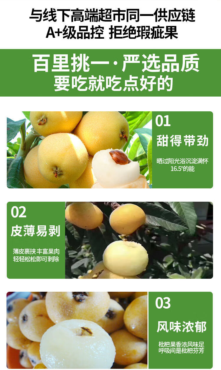 顺丰现摘现发正宗苏州东山白玉枇杷白沙大果新鲜水果超甜礼盒送礼品