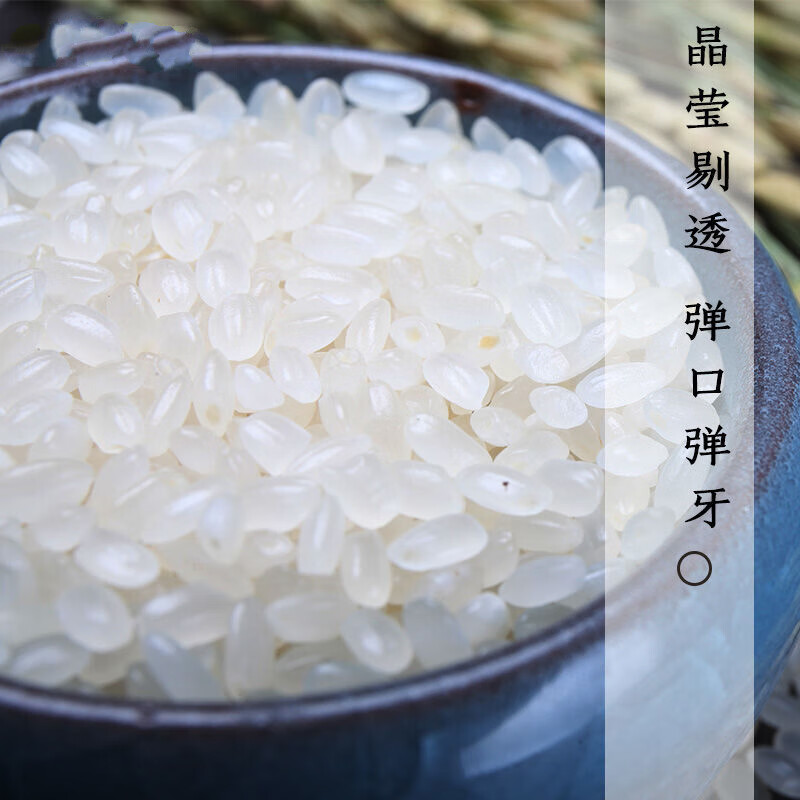 东北大米 10斤20斤价珍珠米稻花香米长粒香米50斤 鲜珍珠米10斤【图片