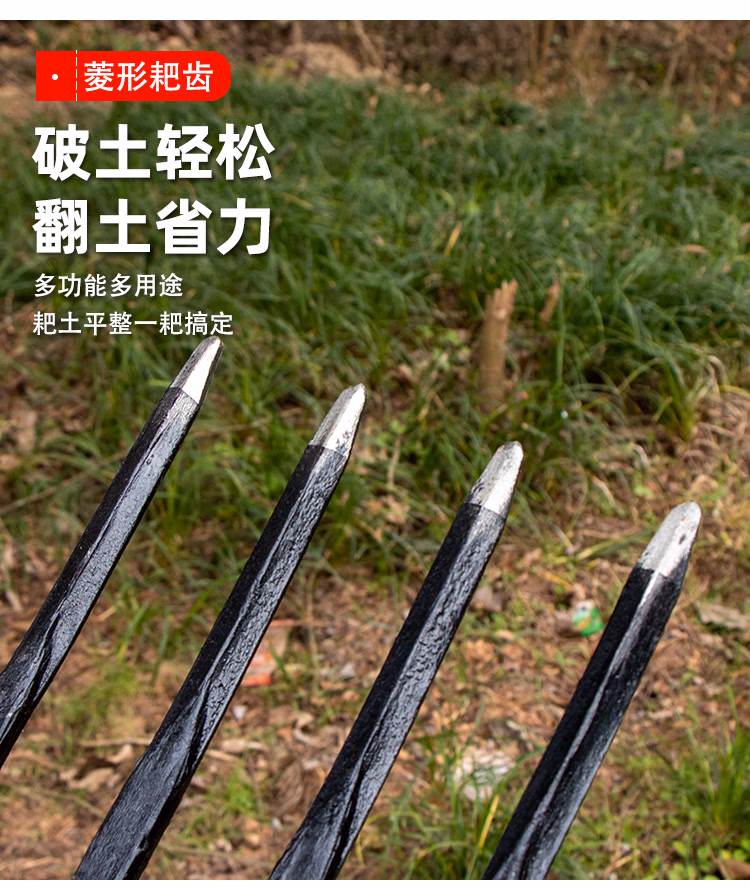 05e37af0216676ec.jpg.avif