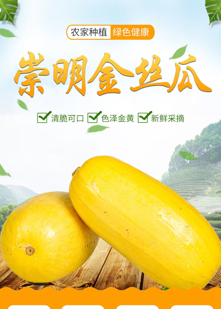 金丝瓜新鲜角瓜搅瓜绞瓜金丝瓜鱼瓜黄金瓜新鲜蔬菜多省