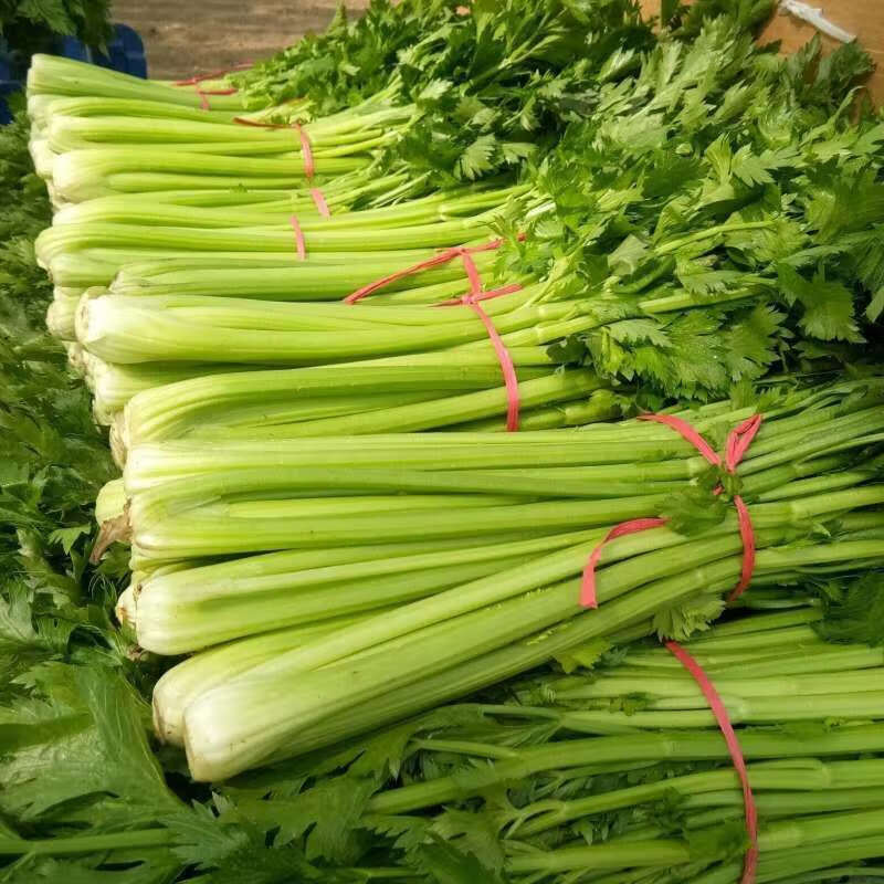 现挖芹菜新鲜蔬菜带叶本地芹菜香芹时令蔬菜青菜批发10月15日发完3斤