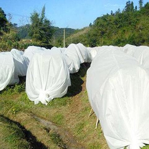 柑橘果园果树防寒布保温膜防水透气防冻农用无纺布膜直销-融暖 1.