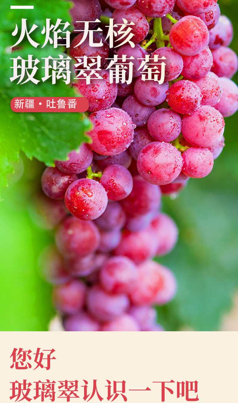 顺丰冷链 新疆玻璃脆无籽葡萄 当季新鲜水果整箱无核脆精选孕妇水果 4