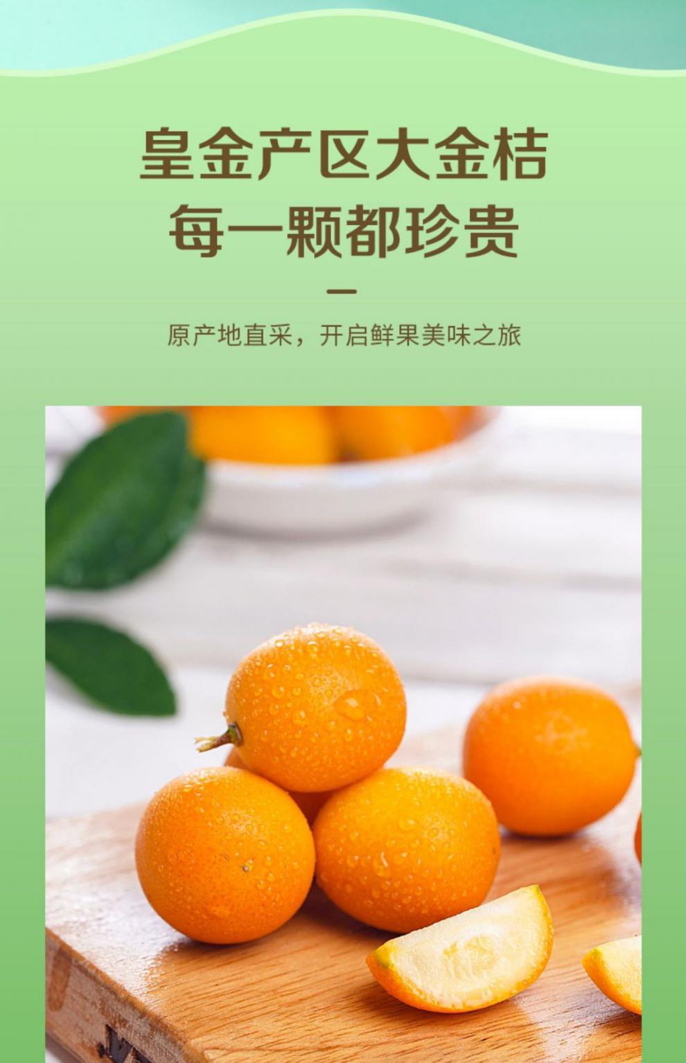 大果天山雪桔200g罐3罐