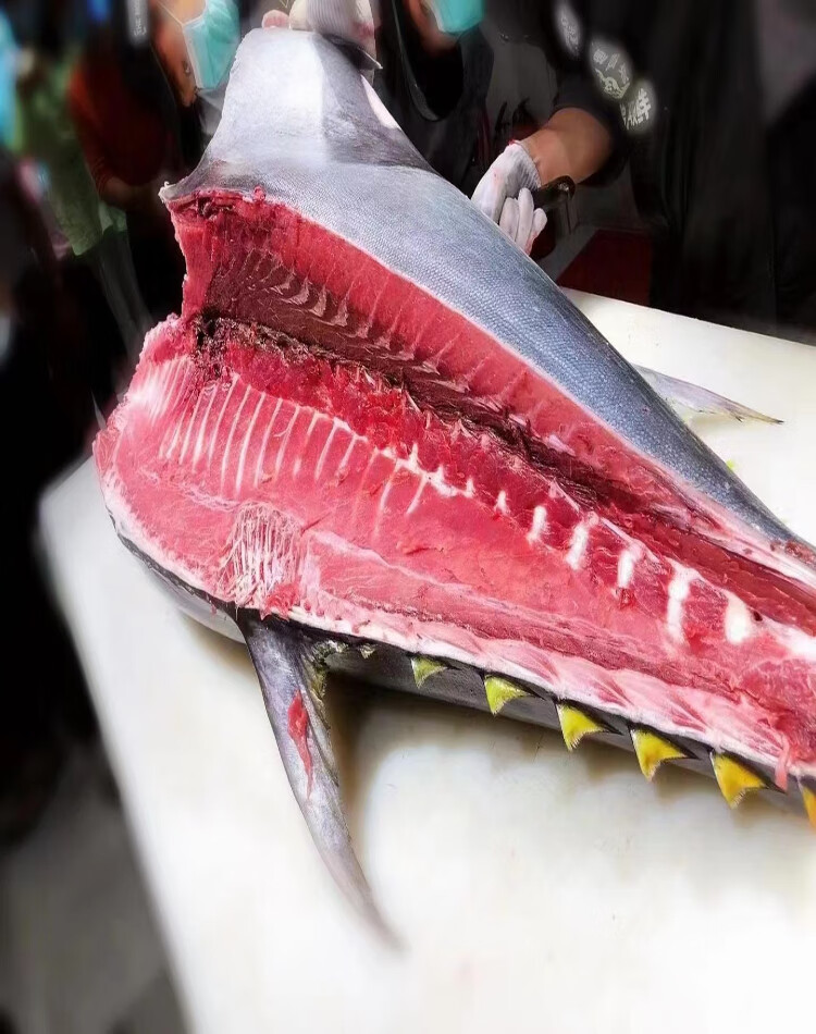 深海整条黄鳍金枪鱼可刺身可煮可生煎金枪鱼黄旗金枪鱼块速冻冰鲜芳玫