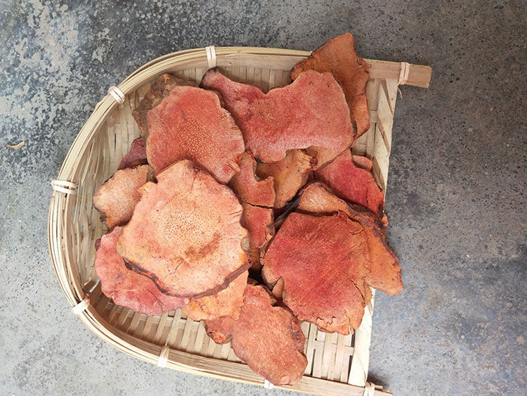 源于花香 红土茯苓精选深山野生中药材晒干无硫5年老土茯苓 五指毛桃