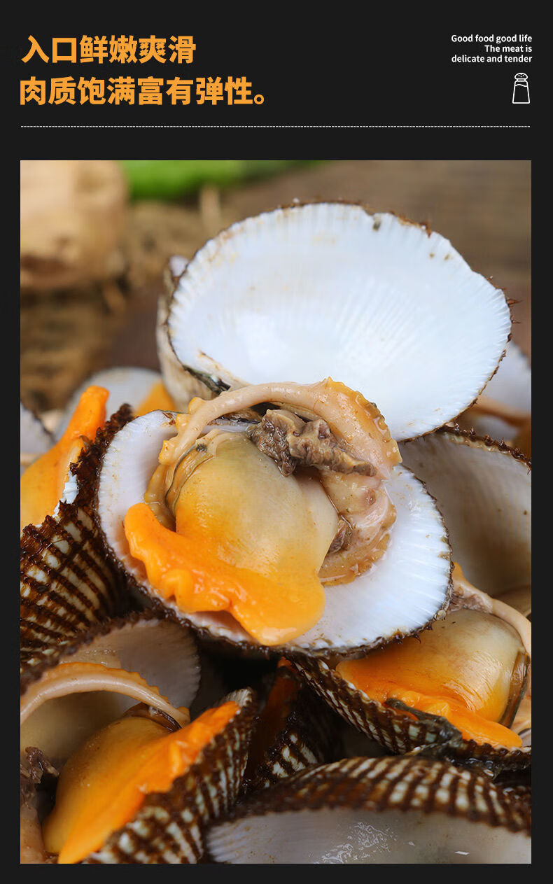 毛蚶血蛤鲜活赤贝新鲜小海鲜贝类水产鲜活大毛蛤蜊现捕泥蚶3斤精选装