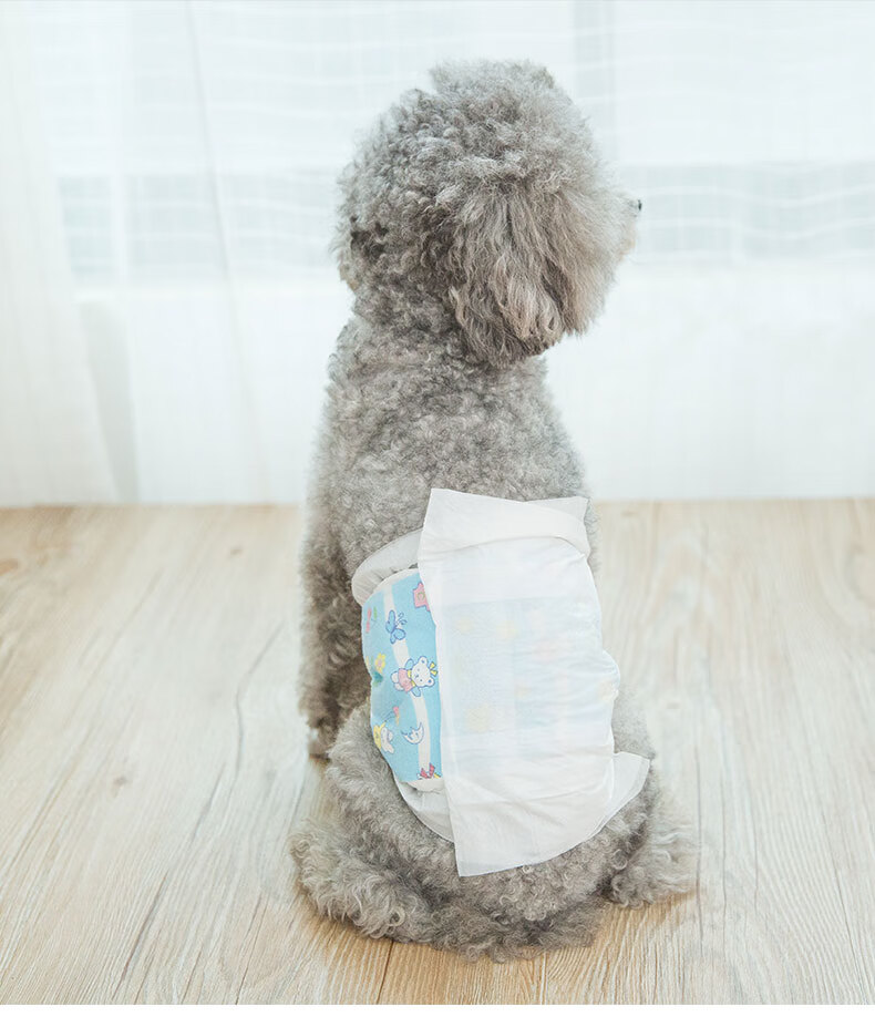珊野 公狗专用纸尿裤狗狗尿不湿泰迪小型宠物卫生生理礼貌带防交配乱
