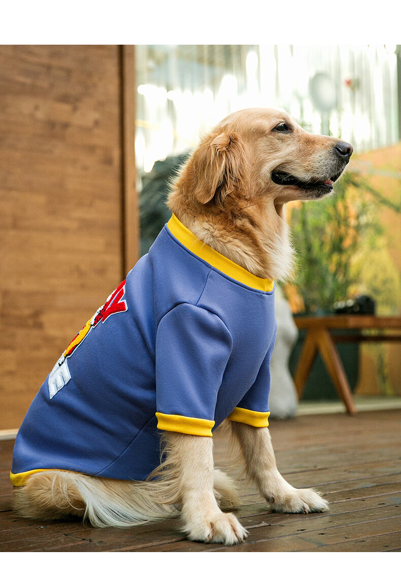 大狗卫衣秋冬季蓝色卡通图案金毛中大型犬萨摩耶两脚宠物衣服蓝色xs