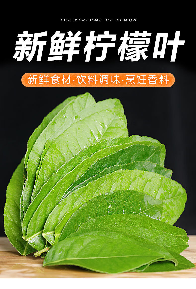 新鲜柠檬叶带枝烹饪香料青柠叶西餐料理冬阴功汤调料火锅配料新鲜柠檬