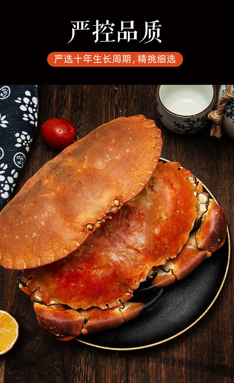 面包蟹 鲜螃蟹超大螃蟹英国大母面包蟹鲜活的斤黄金蟹满黄螃蟹 【大号