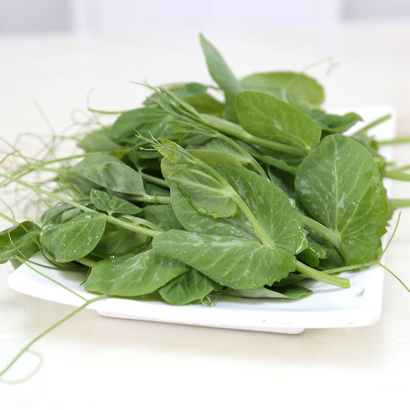 爵妃 四川豌豆尖 豌豆苗 新鲜蔬菜火锅食材 农家产地直供 半斤尝鲜