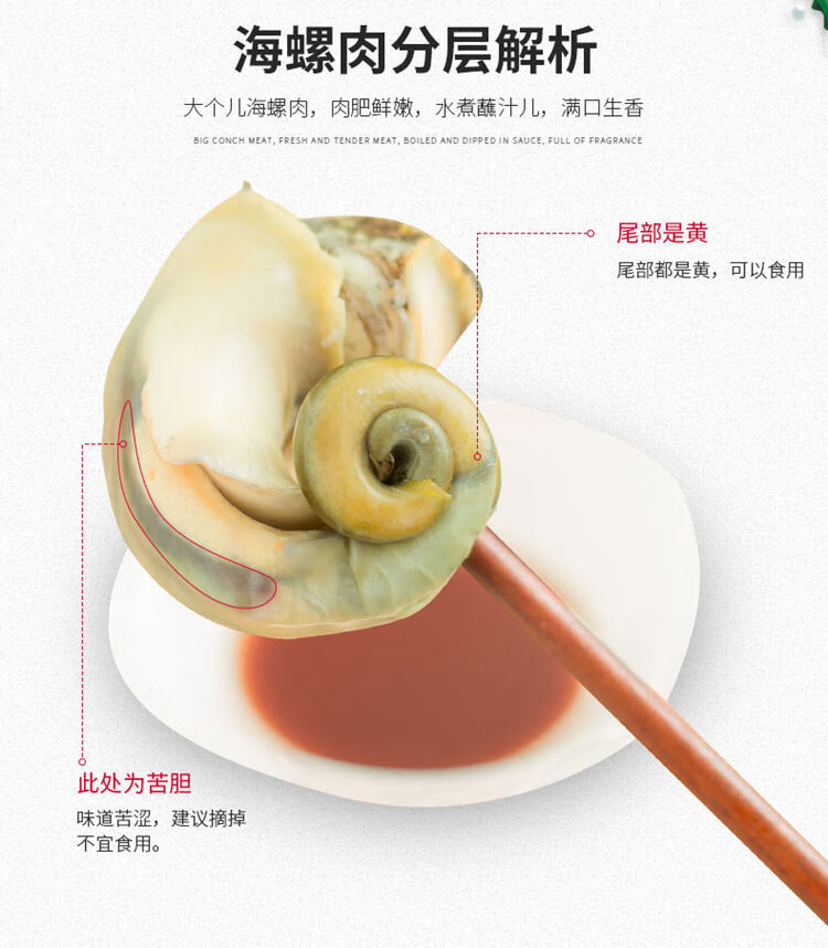 连云港海螺鲜活特大海捕海鲜新鲜花螺贝类水产每斤35只2斤装赠芥末