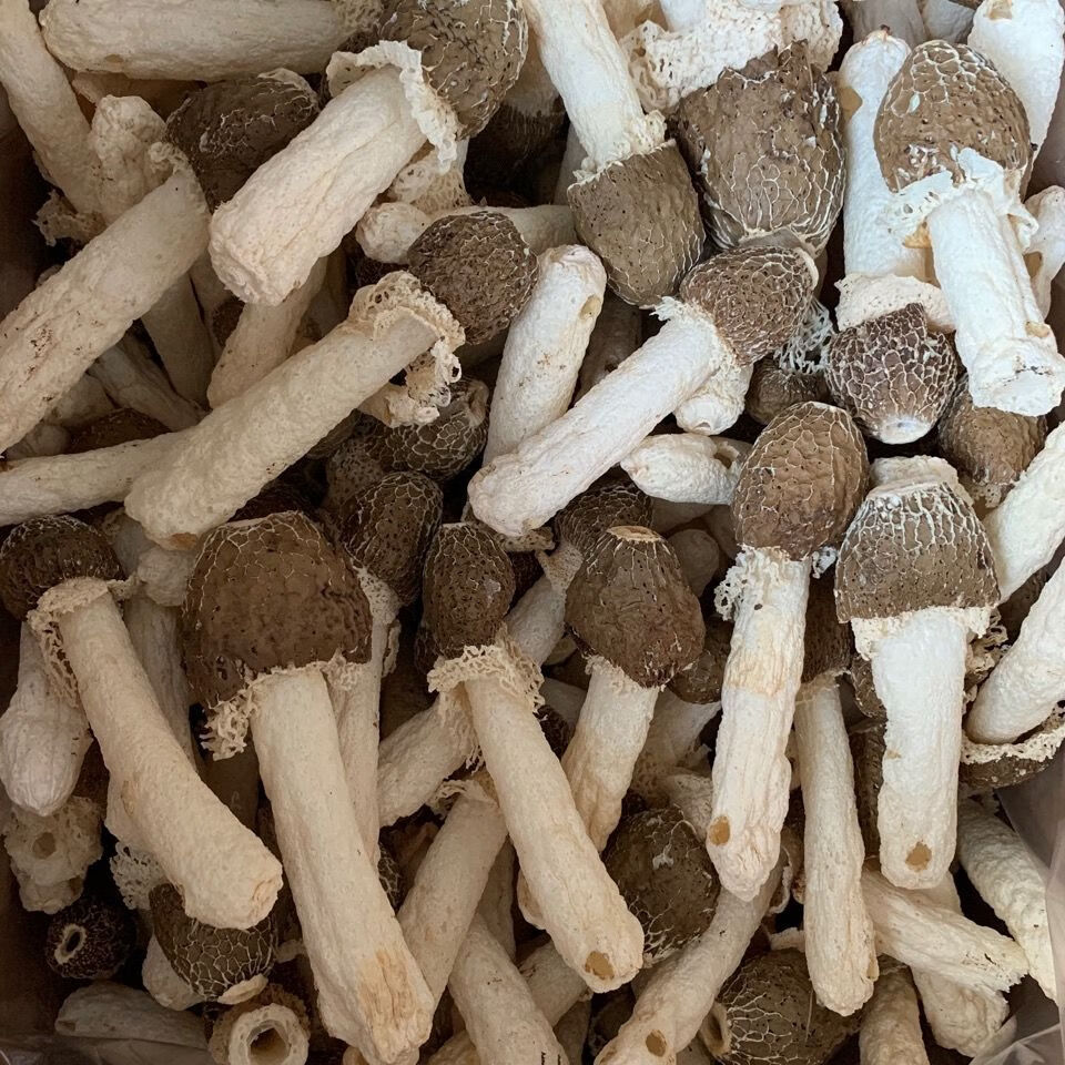 竹荪干货竹荪竹荪菌黑头竹荪干货特产煲汤材料 黑头竹荪250g【图片