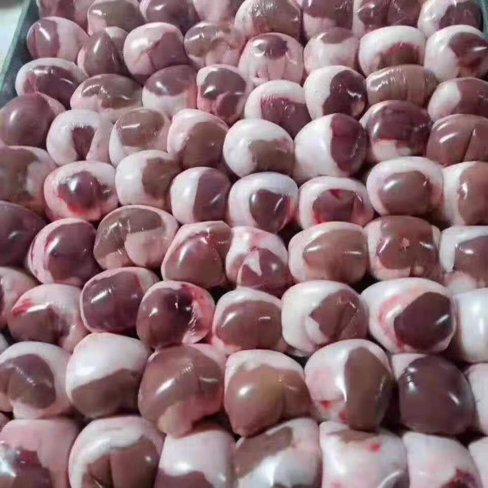 新鲜速冻腰子羊腰子羊肾商用烧烤专用食材羊肾批发包油腰广纳力驰 3斤