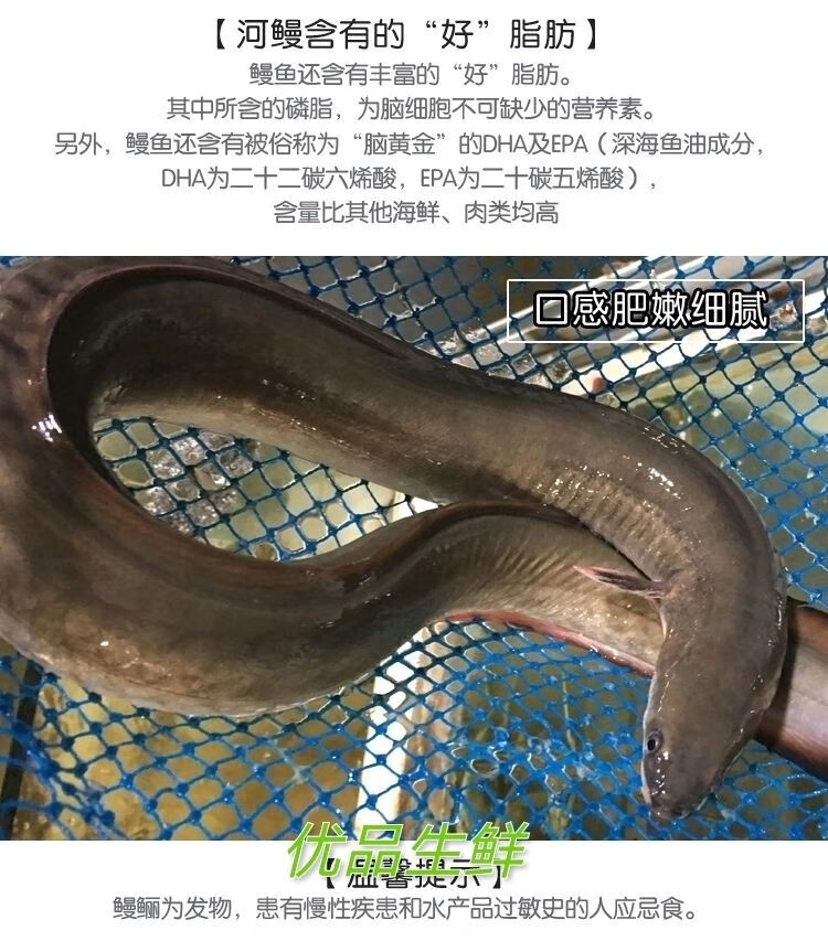 顺丰淡水河鳗鱼白鳝新鲜河鳗活鱼鲜活现杀海鳗白鳗1213斤3条装宰杀后