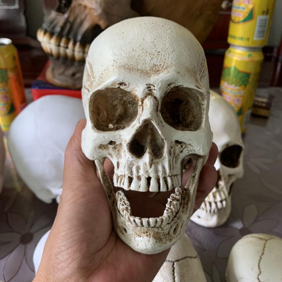 万圣节13仿真骷髅头模型素描绘画艺考美院美术艺用万圣节道具北极象