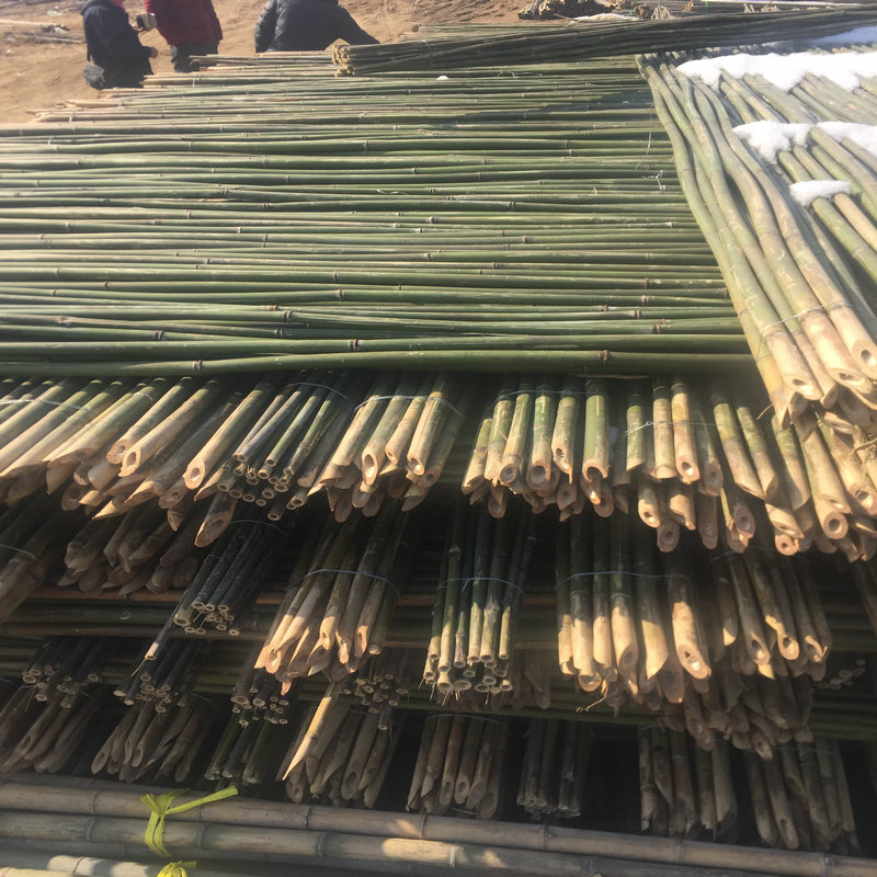 勋诚竹竿 2米高种菜竹竿竹竿园林架2米高菜架竹竿菜园搭架竹竿种菜