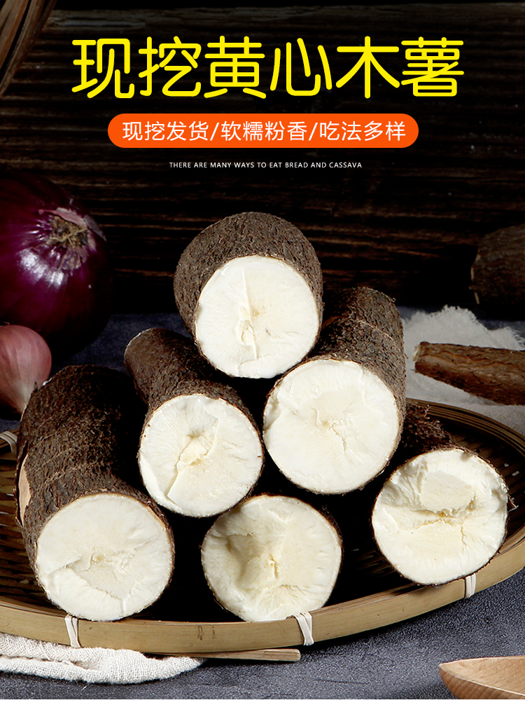 春光岛广西黄心木薯 黄金蛋黄木薯 新鲜现挖 粉糯食用 5斤【图片 价格