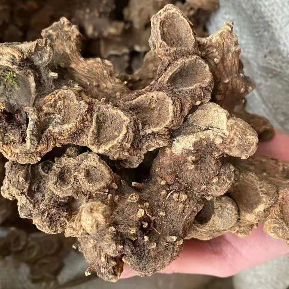 八角莲中药材八角莲金魁莲旱八角独角莲一碗水500克八角莲