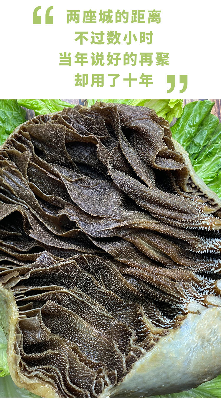 迈啃吱maikenzhi整个毛肚新鲜冷冻带底板牛百叶千层火锅重庆食材牛肚