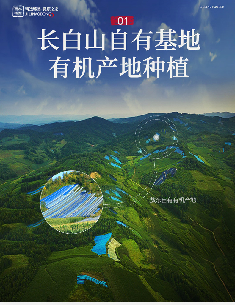 吉林敖东西洋参片90g可搭长白山人参含片花旗参粉煲汤泡酒整枝切片