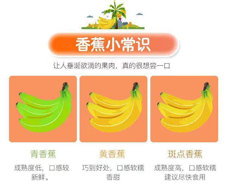 【年货精选】【新鲜香蕉】云南高山香蕉自然熟大香蕉当季水果整箱 带