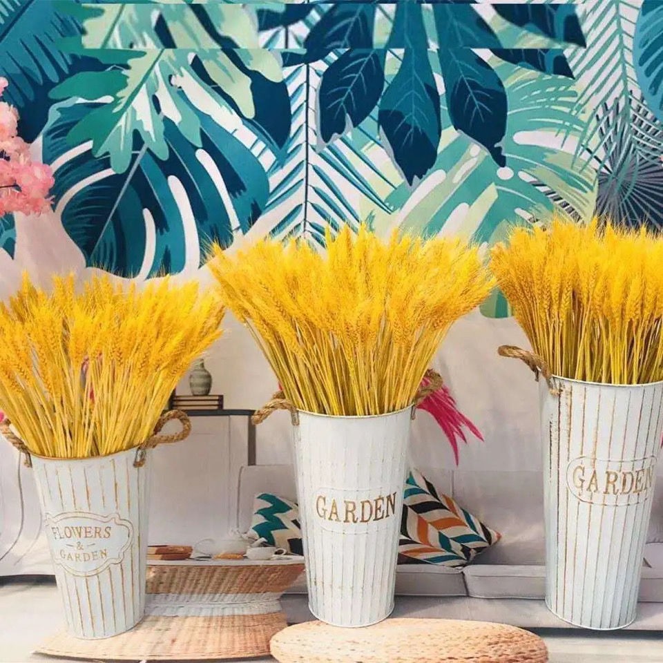 大麦金色天然麦穗干花花束开业小麦插花篮店材料黄金田园装饰摆件