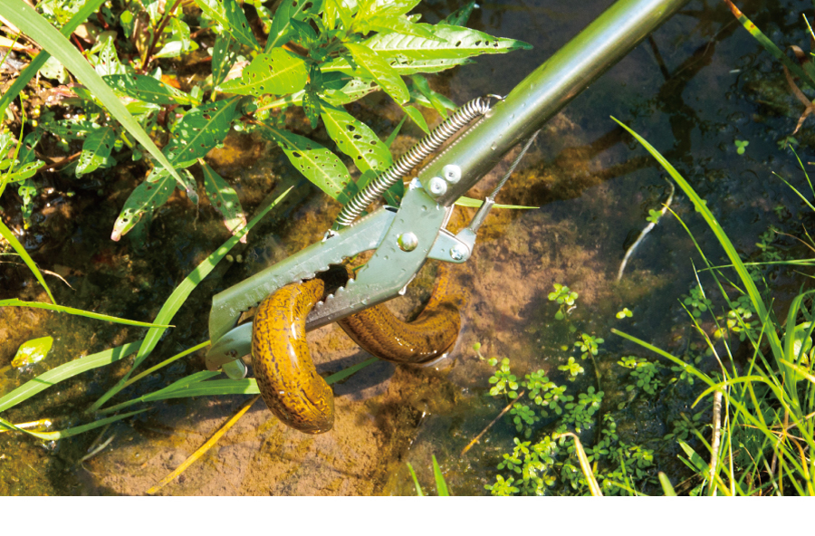 vakada不锈钢黄鳝夹钩钳抓黄鳝不锈钢泥鳅钳捉鱼夹子防滑工具折叠垃圾