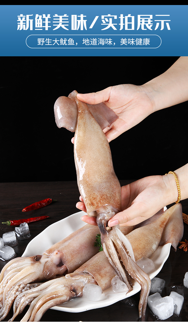 鱿鱼新鲜鲜活深海无漂白整只鲜冻冰冻冷冻水产饭铁板商用 2500g 5斤(