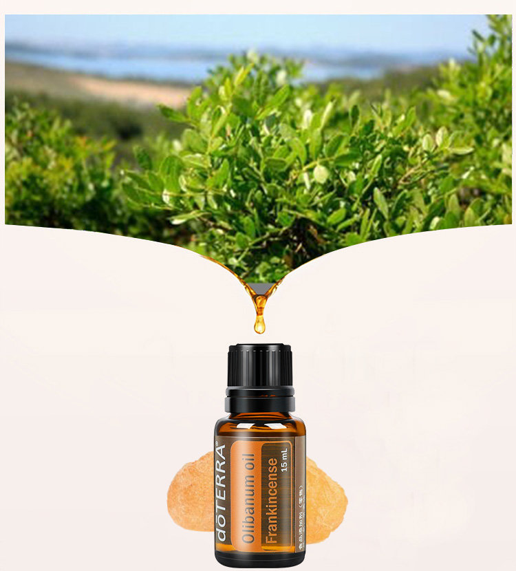 多特瑞精油官网乳香植物精油美国肌肤护理按摩香薰精油15ml【图片