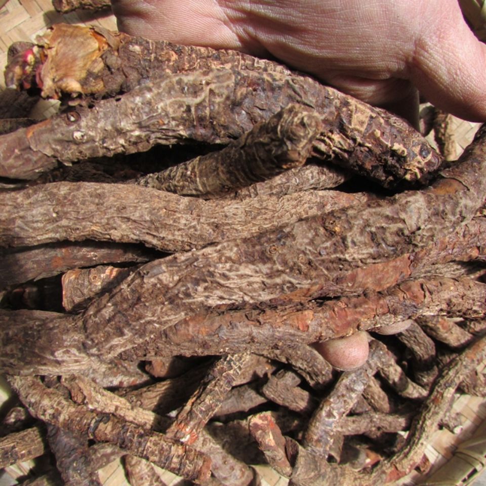 北京同仁堂原料岩白菜云南野生中药材岩白菜岩七矮白菜