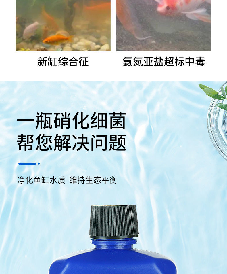 淨水王魚缸淨水劑澄清清澈懶人免換水神器水質淨化清水劑硝化細菌硝化