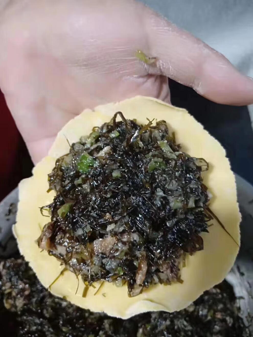 大连庄河海麻线 新鲜冷冻海麻线包子陷 下锅烂海菜 紫菜 原味 3000g【