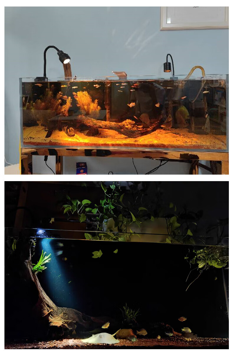 水族灯射灯南美鱼缸灯全光谱小型照明灯led防水夹灯三色水草灯鱼缸