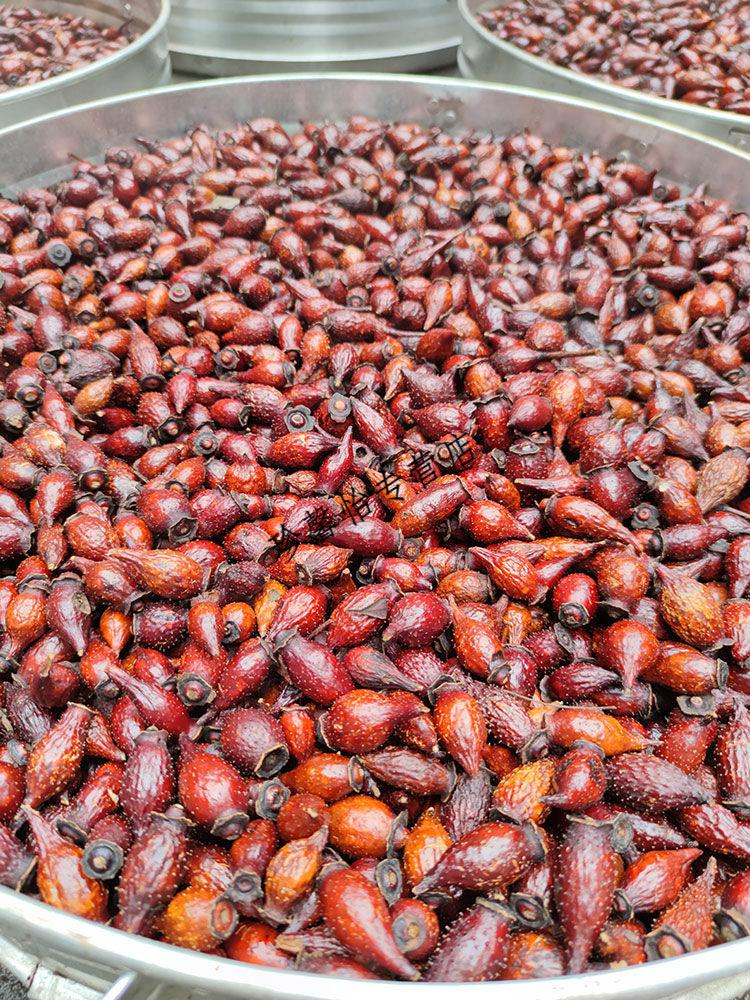 去籽金樱子三蒸三晒干货金樱子肉金英子男性泡酒中药材泡水开边去籽