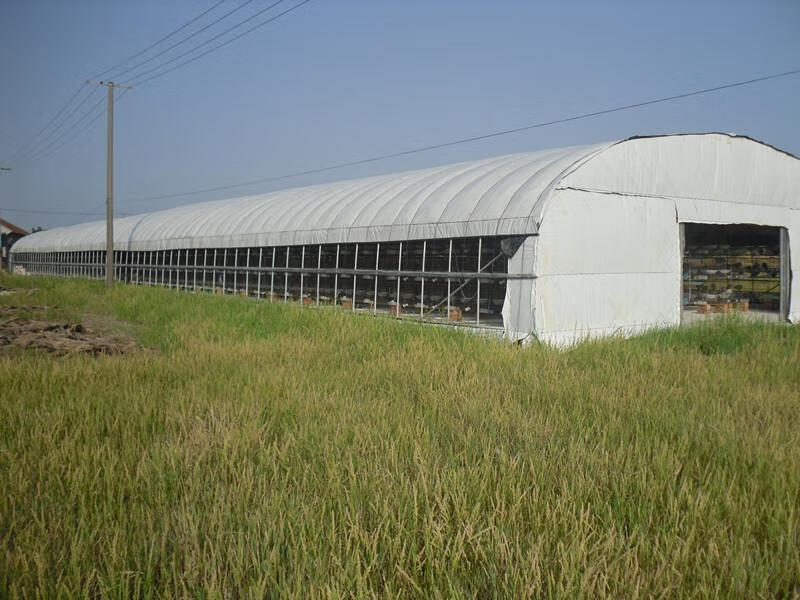 歐締蘭養殖大棚骨架鋼管全套養雞鴨鵝大棚養豬牛羊溫室大棚雞舍家用