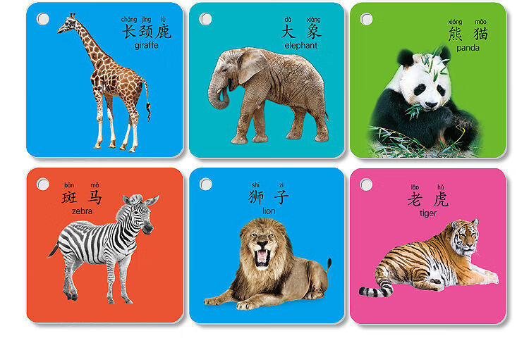 书儿童一岁宝宝玩具婴儿幼识字看图识物6盒动物果蔬认数人物交通识字