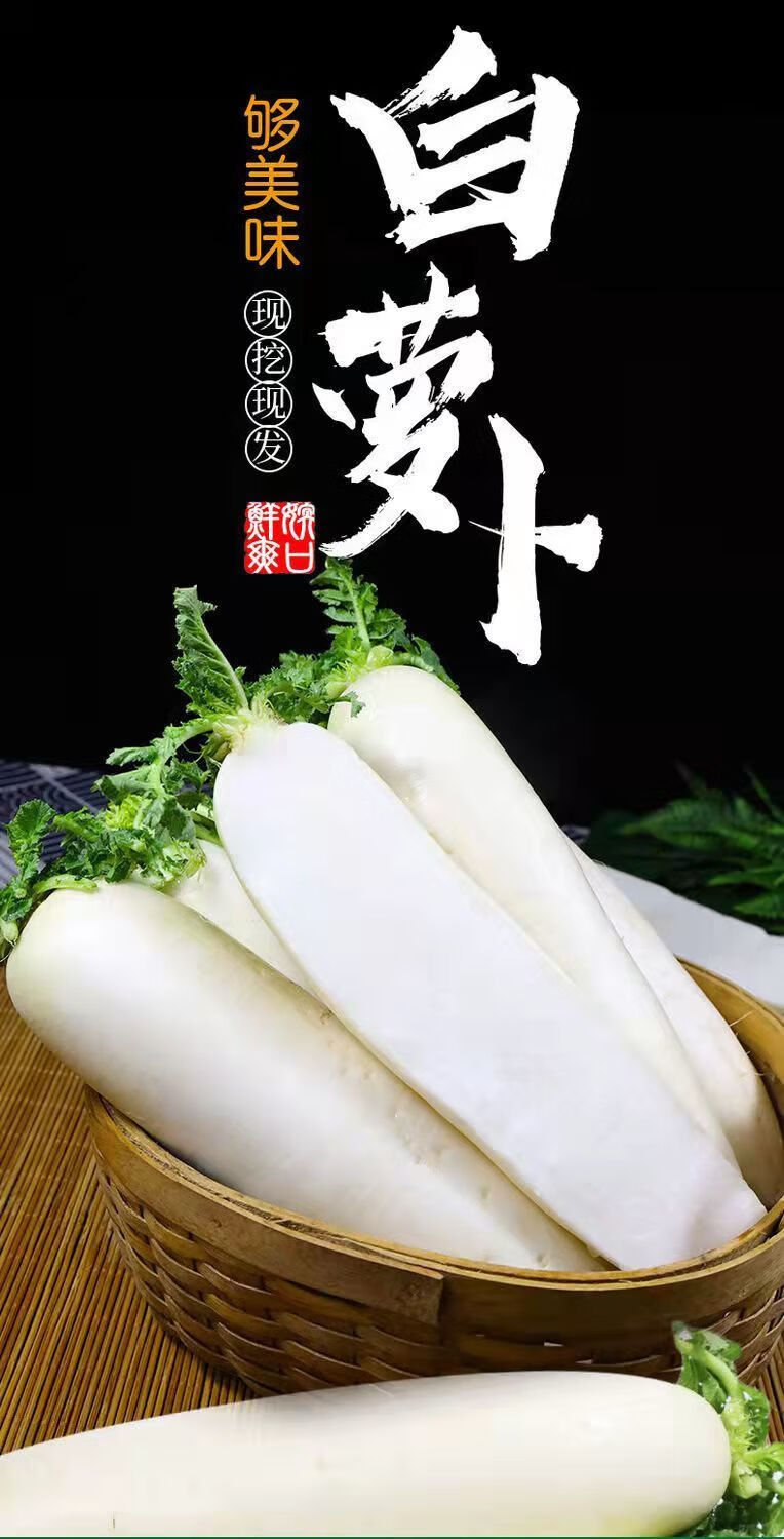 现摘高山萝卜新鲜白萝卜新鲜蔬菜脆甜当季腌制萝卜泡菜现挖现发精选装