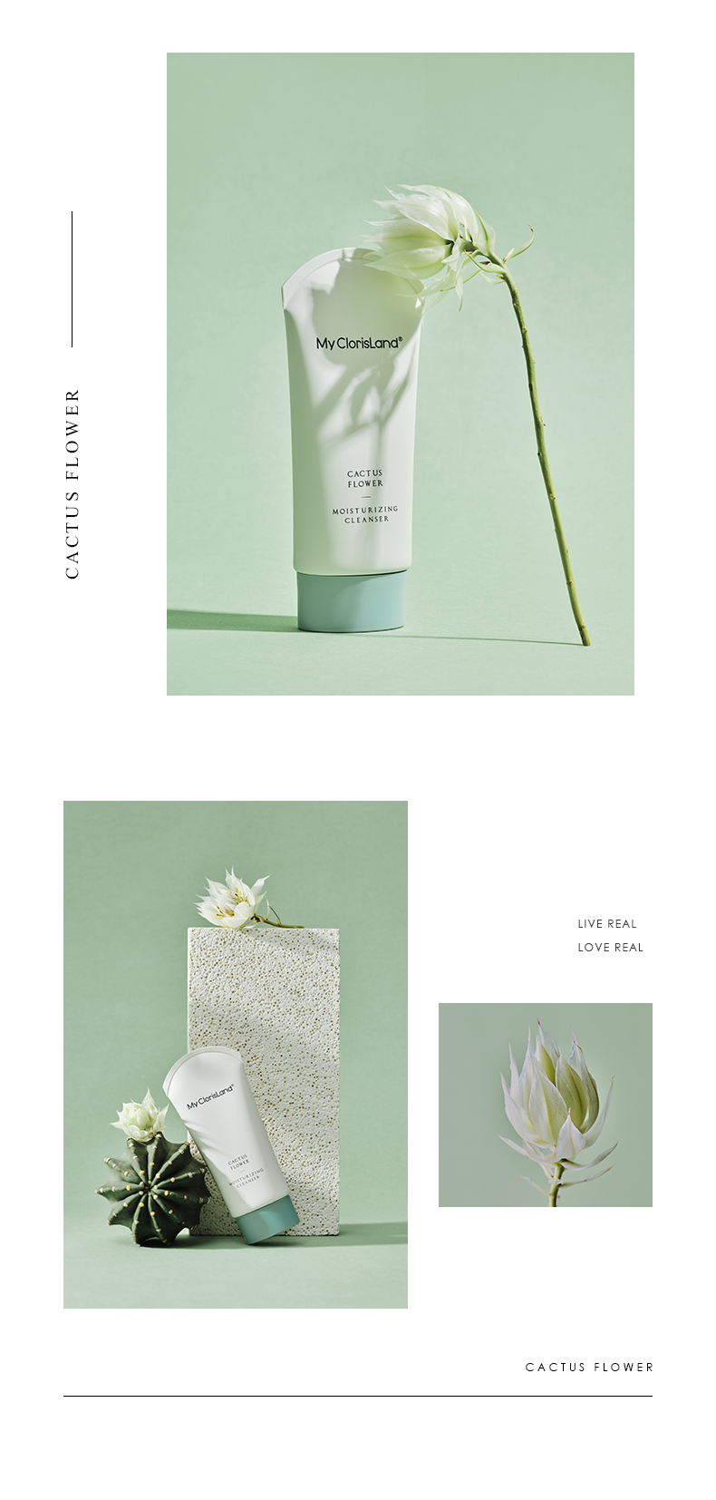 mcl花皙蔻clorisland仙人掌花沁润保湿洁面乳80g
